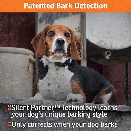 SportDOG Brand NoBark 10 Collar - Rechargeable, Programmable Bark Collar - Waterproof & Submersible, Black