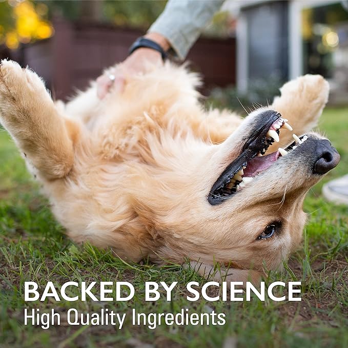 Nutramax Laboratories Nutramax Imuquin Immune Health Supplement Powder for Dogs, with Beta Glucans, Marine Lipids, Vitamins and Minerals, 30 Packets, Updated Version