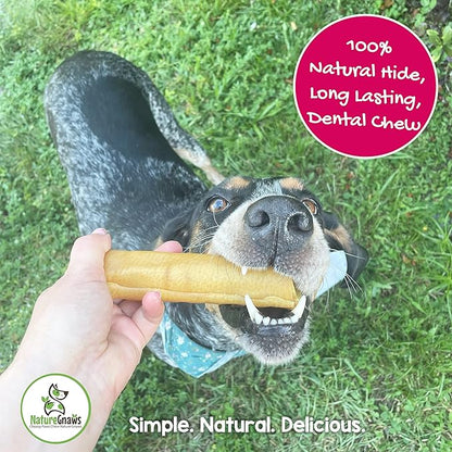Nature Gnaws Pork Skin Chews for Dogs - Premium Natural Tasty Jerky Treats - Long Lasting Dog Chew Bones - Rawhide Free 6 Count (Pack of 1)