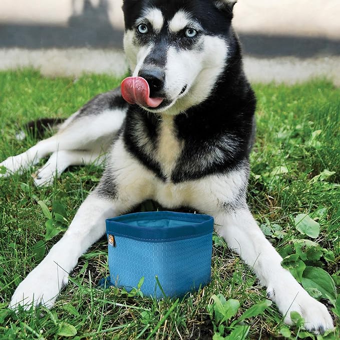 Kurgo Zippy Bowl for Dogs, Collapsible Travel Dog Bowls, Pet Food & Water Hiking Container, Food Grade Silicone, Travel Accessories for Pets, includes Carabiner, Holds 48 oz (Barn Red)