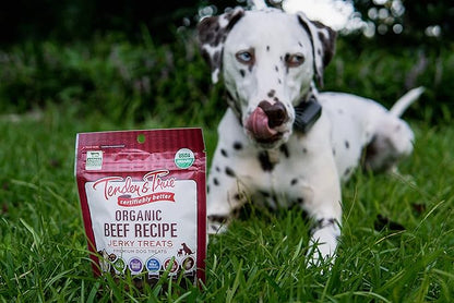 Tender & True Pet Nutrition Organic Beef Jerky Treats (71005)