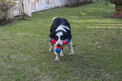 Chuckit! Amphibious Tri-Bumper Fetch Dog Toy, Medium (8.2 Inch),Black