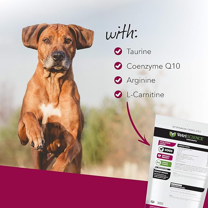 VETRISCIENCE Vetri Cardio Canine Complete Cardiovascular Support for Dogs with CoQ10, Taurine and Arginine, 60 Chews