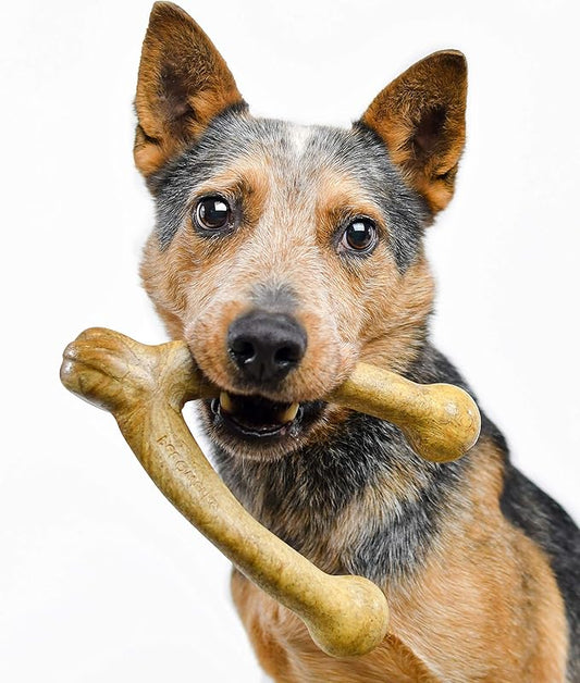 Pet Qwerks Wishbone BarkBone - Nylon Chew Toy for Aggressive Chewers - Peanut Butter Flavor - 8.25"