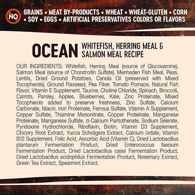 Wellness CORE Grain-Free High-Protein Dry Dog Food, Natural Ingredients, Made in USA with Real Meat, All Breeds, For Adult Dogs (Ocean Whitefish, Herring & Salmon, 4-Pound Bag)