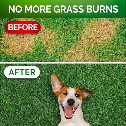 Grass Burn Spot Chews for Dogs - Dog Urine Neutralizer for Lawn - 120 Grass Green Dog Chews - Grass Savers for Dog Urine - Dog Pee Grass Neutralizer with Probiotics - Digestive Enzymes - Made in USA