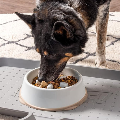 IRIS USA 4 Cups Slow Feeder Dog Bowl, Anti-Choking, Anti-Slip, Easy to Clean, Interactive Puzzle Toy, Healthy Digestion, Long snouted, Dogs Cats & Other Pets, BPA, PVC, Phthalate Free, White/Beige