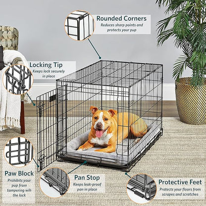 MidWest Homes for Pets Dog Crate | Life Stages 36' Folding Metal Divider Panel, Floor Protecting Feet, Leak-Proof Pan 36L x 23W 25H Inches, Intermediate Breed, Black
