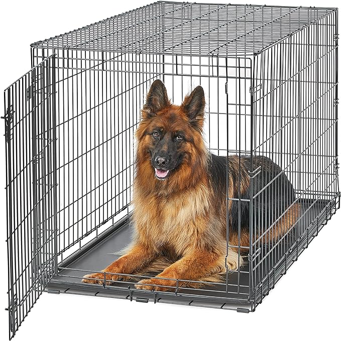 MidWest Homes for Pets XL Dog Crate | MidWest Life Stages Folding Metal Crate | Divider Panel, Floor Protecting Feet, Leak-Proof Pan | 48L x 30W x 33H Inches, XL Dog Breed