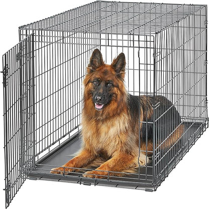 MidWest Homes for Pets XL Dog Crate | MidWest Life Stages Folding Metal Crate | Divider Panel, Floor Protecting Feet, Leak-Proof Pan | 48L x 30W x 33H Inches, XL Dog Breed