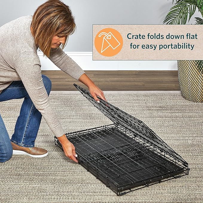 MidWest Homes for Pets XL Dog Crate | MidWest Life Stages Folding Metal Crate | Divider Panel, Floor Protecting Feet, Leak-Proof Pan | 48L x 30W x 33H Inches, XL Dog Breed