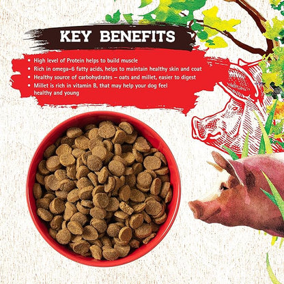 Inception® Dry Dog Food Pork Recipe – Complete and Balanced Dog Food – Meat First Legume Free Dry Dog Food – 13.5 lb. Bag