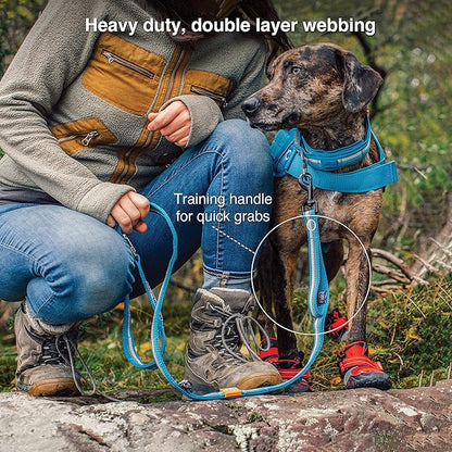 Kurgo Rsg Stub Leash for Dogs | Adjustable Dog Leash | Hands Free Dog Leash for Walking, Jogging, Or Running | Customizable Molle-Compatible Pet Lead | Training Handle | Web Keeper | Reflective | 48”