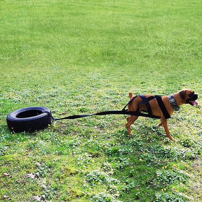 Dog Weight Pulling Harness - Dog Pulling, Weight Training, Dog Sledding, Building Muscle, Improved Behavior, Canicross, Competition and Working Dogs - Complete with Dog Whistle