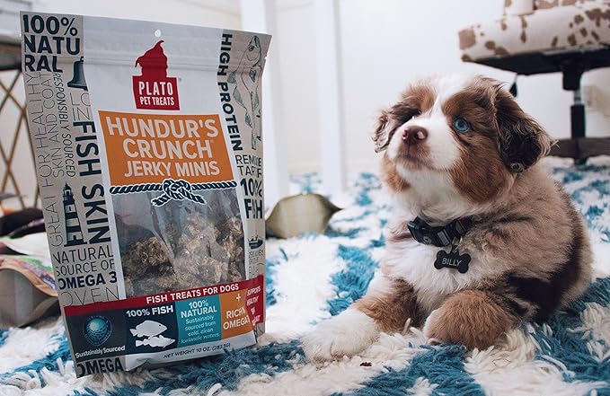 PLATO Hundur's Crunch Jerky Minis 10oz, Natural (859554001397)