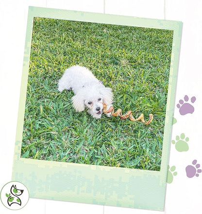 Nature Gnaws Bully Stick Springs for Dogs - Premium Natural Beef Dental Bones - Long Lasting Curly Dog Chew Treats for Aggressive Chewers - Rawhide Free 12 Count (Pack of 1)