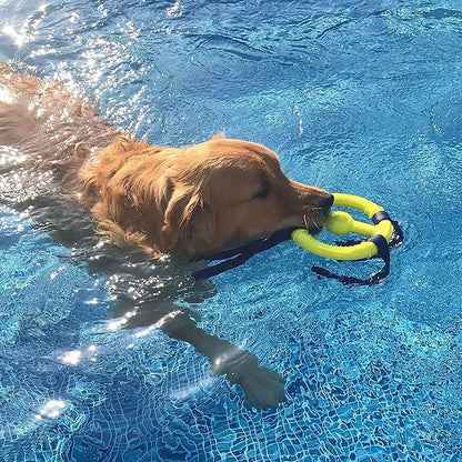 Nylabone Power Play Ring Thing Floatable Interactive Play Toy, Fetch Toy for Dogs, Medium (1 Count)
