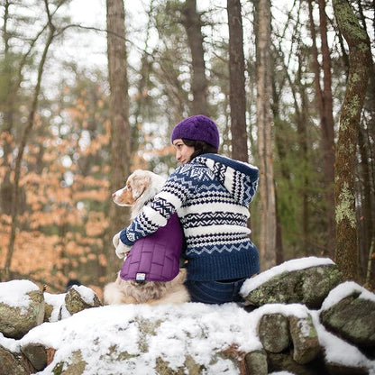 Kurgo Loft Dog Jacket, Reversible Dog Coat, Wear with Harness or Sweater, Water Resistant, Reflective, Winter Coat for Medium Dogs (Deep Violet, M)