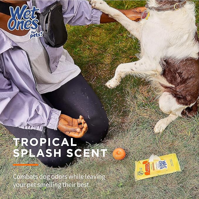 Wet Ones Mixed 18 Piece Bundle of Human & Pet Wet Wipes, Tropical Splash Scent| 10 Packs Antibacterial Wipes, 20 Ct Plus 8 Packs for Pets Paw & Tushie Dog Wipes, 30ct
