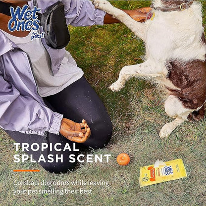 Wet Ones Mixed 18 Piece Bundle of Human & Pet Wet Wipes, Tropical Splash Scent| 10 Packs Antibacterial Wipes, 20 Ct Plus 8 Packs for Pets Paw & Tushie Dog Wipes, 30ct