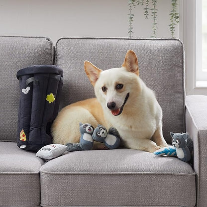 Outward Hound Hide A Raccoon Plush Dog Toy Puzzle