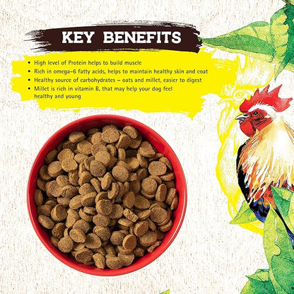 Inception® Dry Dog Food Chicken Recipe – Complete and Balanced Dog Food – Meat First Legume Free Dry Dog Food – 13.5 lb. Bag