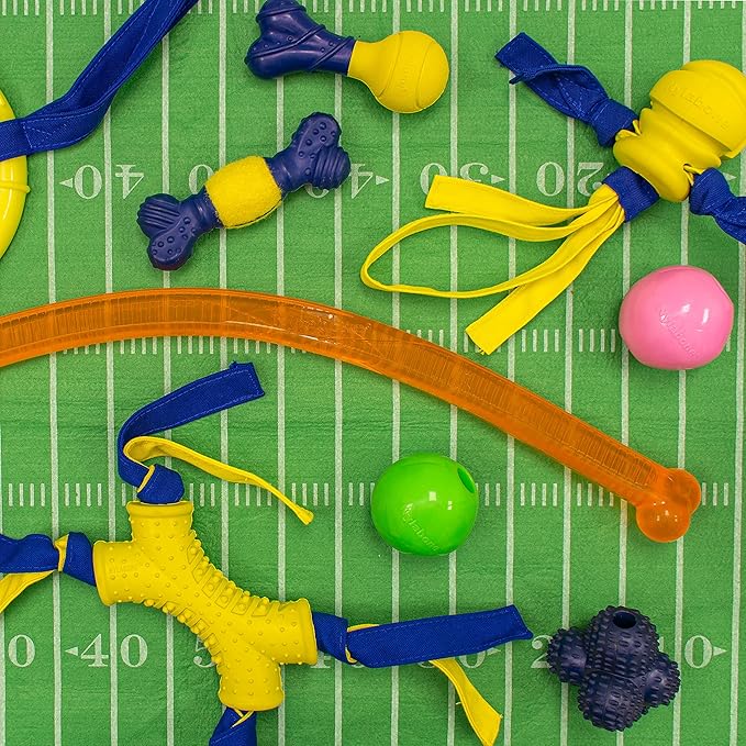 Nylabone POWER PLAY Interactive Fetch Toys for Dogs l Enrichment Dog Toys for the Ultimate Playtime Experience