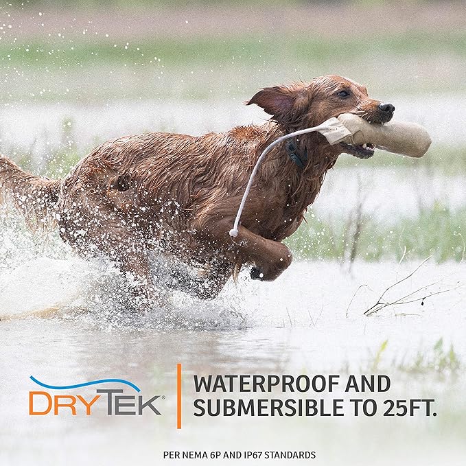 SportDOG Brand YardTrainer 300 Remote Trainer