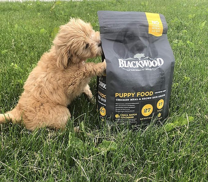 Blackwood Pet Food Blackwood Puppy Food Made in USA Slow Cooked Puppy Dog Food [Natural Puppy Food Dry For All Breeds and Sizes], Chicken Meal & Brown Rice Recipe, 15 lb. bag