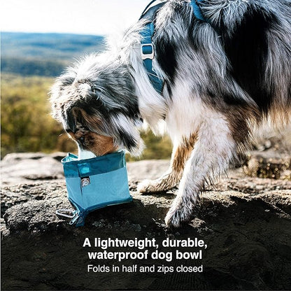 Kurgo Zippy Bowl for Dogs, Collapsible Travel Dog Bowls, Pet Food & Water Hiking Container, Food Grade Silicone, Travel Accessories for Pets, includes Carabiner, Holds 48 oz (Coastal Blue)