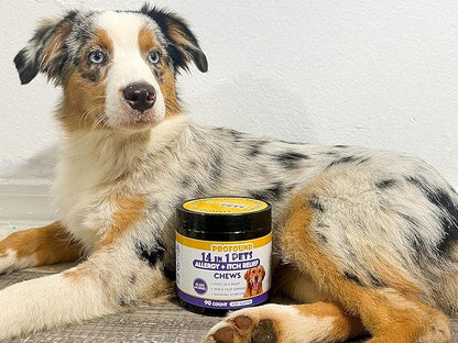 Pet Allergy and Itch Relief, Dog Allergy Chews, Intermittent Itchiness, Pet Probiotic, Seasonal Allergies - Anti Itch Support