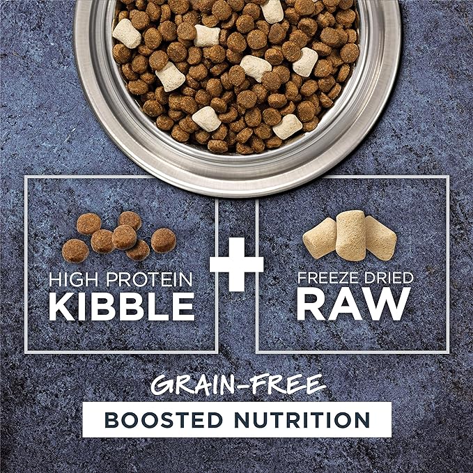 Instinct Raw Boost Grain Free Recipe with Real Salmon Natural Dry Dog Food by Nature's Variety, 19 lb. Bag