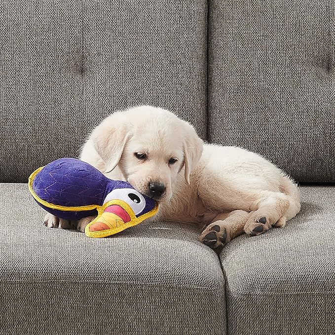 Outward Hound Xtreme Seamz Toucan Squeaky Durable Dog Toy