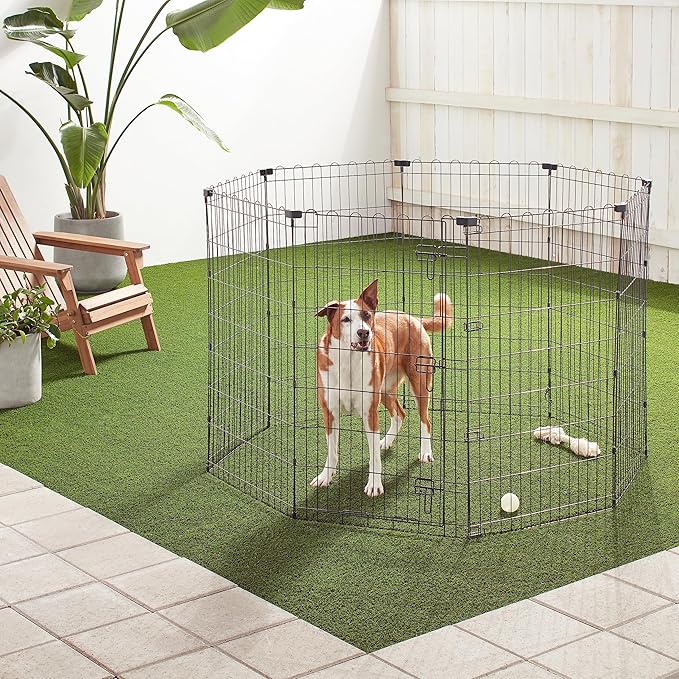 Amazon Basics Foldable Octagonal Metal Exercise Pet Play Pen for Dogs, Fence Pen, Single Door, Large, 60 x 60 x 42 Inches, black