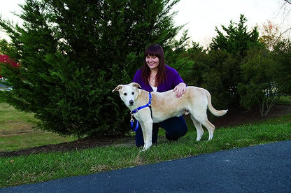 PetSafe Easy Walk No-Pull Dog Harness - The Ultimate Harness to Help Stop Pulling - Take Control & Teach Better Leash Manners - Helps Prevent Pets Pulling on Walks - Small, Black/Silver