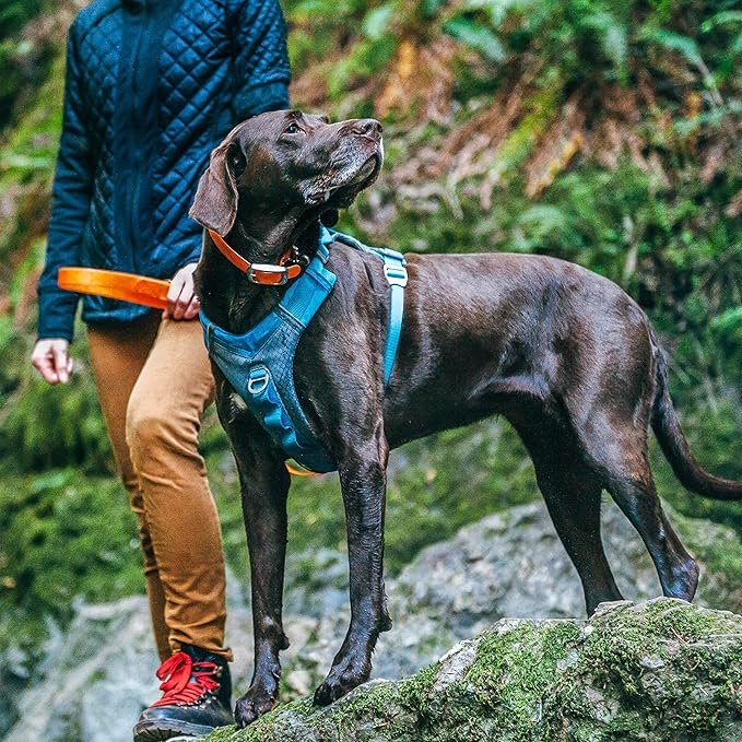 Kurgo Journey Air Dog Harness, Vest Harnesses for Dogs, Pet Hiking Harness for Running & Walking, Reflective, Padded, includes Control Handle, No Pull Front Clip (Blue, X-Large)