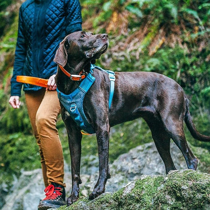 Kurgo Journey Air Dog Harness, Vest Harnesses for Dogs, Pet Hiking Harness for Running & Walking, Reflective, Padded, includes Control Handle, No Pull Front Clip (Blue, X-Large)