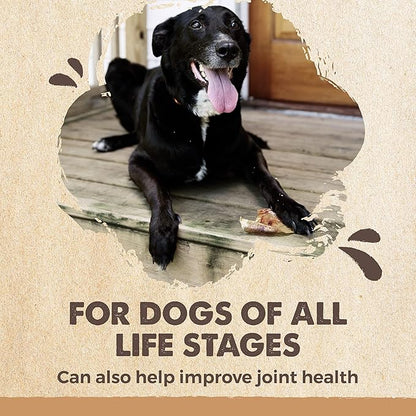 Mighty Paw Half Pig Ears for Dogs - All Natural Single Ingredient Pig Ear Treat - Better Than Rawhide Snacks for Puppies and Large Dogs - A Better Treat Dog Will Love - Dog Toys Compatible Chews