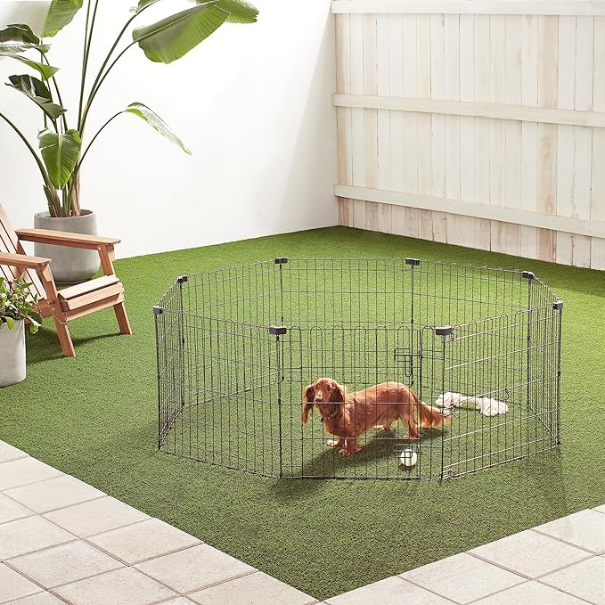 Amazon Basics - Octagonal Foldable Metal Exercise Pet Play Pen for Dogs, Fence Pen, Single Door, Extra Small, 60 x 60 x 24 Inches, Black