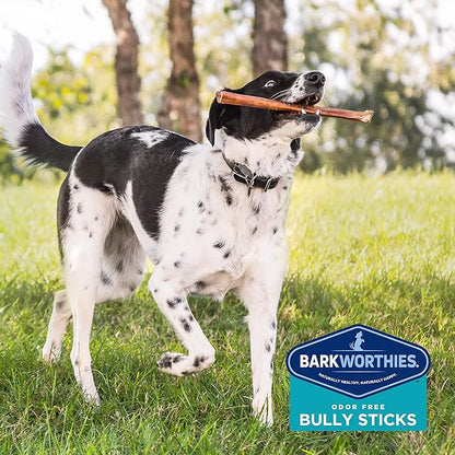 Barkworthies Odor-Free 12-inch Bully Sticks (3 Pack) - Healthy Dog Chews - Protein-Packed, Highly Digestible, All-Natural Rawhide Alternative Dog Treats - Promotes Dental Health