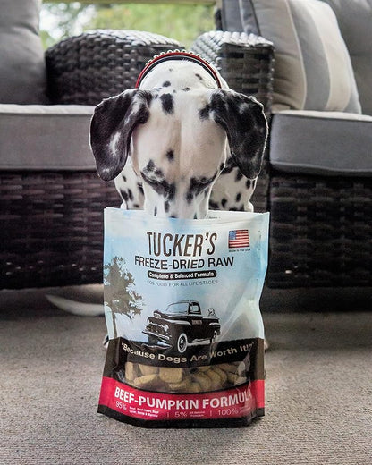Tucker's Raw Frozen Freeze Dried Raw Dog Food, Beef & Pumpkin Formula 14oz
