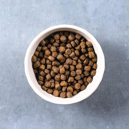 Evolve Grain Free Puppy Dog Food with Deboned Chicken, Sweet Potato & Berry, 14lb