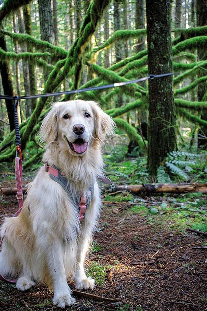 Kurgo Ridgeline Dog Tie Out for Camping,Outdoor Dog Run Zipline,Portable Camp Gear Line,includes-Carry Pouch,30 ft Tree-Friendly Line,4 S-Clips,and Swivel Bungee Tether for Leash Attachment,Gray
