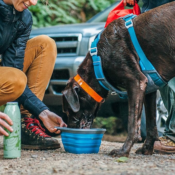 Kurgo Collapsible & Portable Travel Dog Bowl | Mash N’ Stash | Portable Water for Dogs | Food Grade Silicone Collapsible Dog Bowl | BPA No | Pet Travel Accessories | Holdsup to 24 oz (Regular), Blue