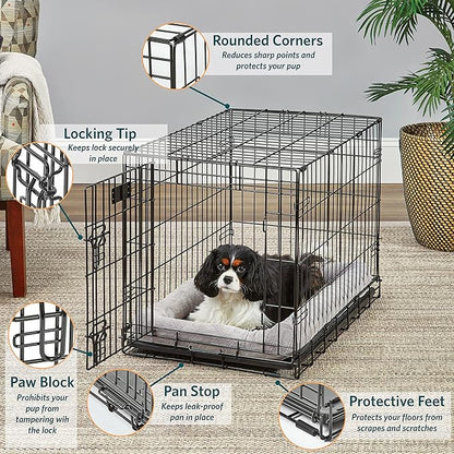 Medium Dog Crate | MidWest Life Stages 30" Folding Metal Divider Panel, Floor Protecting Feet, Plastic Tray 30L x 19W 21H Inches, Breed