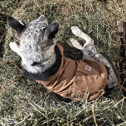 Carhartt Firm Duck Insulated Dog Chore Coat Army Green/Brass , Medium