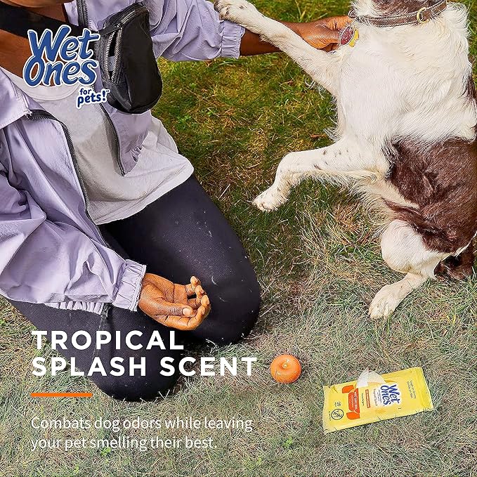 Wet Ones Mixed 13 Piece Bundle of Human & Pet Wet Wipes, Tropical Splash Scent| 10 Pk Antibacterial Wipes, 20 Ct Plus 3 Cannisters for Pets Deodorizing Multi-Purpose Dog Wipes 50ct