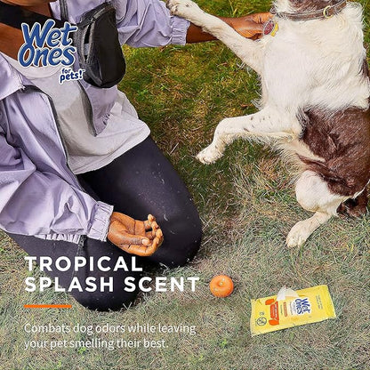 Wet Ones Mixed 13 Piece Bundle of Human & Pet Wet Wipes, Tropical Splash Scent| 10 Pk Antibacterial Wipes, 20 Ct Plus 3 Cannisters for Pets Deodorizing Multi-Purpose Dog Wipes 50ct