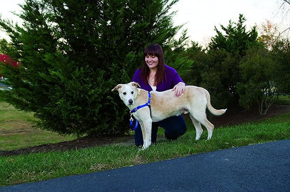 PetSafe Easy Walk No-Pull Dog Harness - The Ultimate Harness to Help Stop Pulling - Take Control & Teach Better Leash Manners - Helps Prevent Pets Pulling on Walks - Small, Red/Black