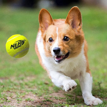 Nerf Dog Tennis Ball Blaster Dog Toy, 12 in Translucent Blaster with 3 Balls